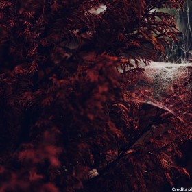 2014-09-12783-1024px