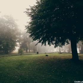 2014-09-12805-1024px