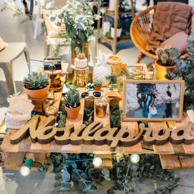 caroline-quesnel-l'AAM2015-(16)