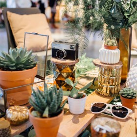 caroline-quesnel-l'AAM2015-(18)