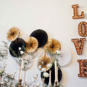 caroline-quesnel-l'AAM2015-(31)