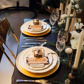 caroline-quesnel-l'AAM2015-(33)