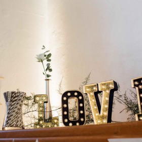 caroline-quesnel-l'AAM2015-(38)