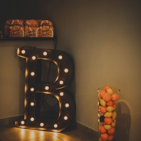 caroline-quesnel-robe-de-mariée-bricole-ta-noce2015-(02)