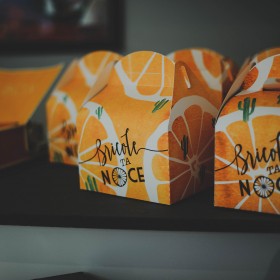 caroline-quesnel-robe-de-mariée-bricole-ta-noce2015-(04)