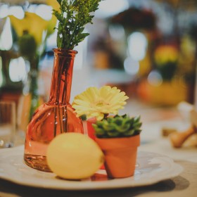 caroline-quesnel-robe-de-mariée-bricole-ta-noce2015-(14)