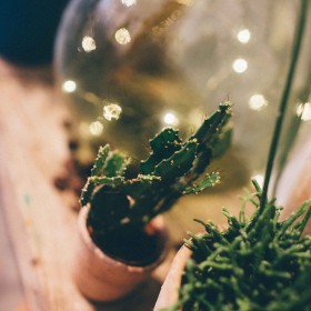 CarolineQuesnel-defile-collection2016-1deco00002