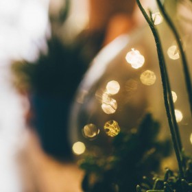 CarolineQuesnel-defile-collection2016-1deco00005