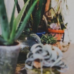 robe-de-mariée-lyon-caroline-Quesnel-défilé2015-(32)