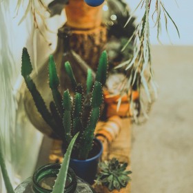 robe-de-mariée-lyon-caroline-Quesnel-défilé2015-(42)