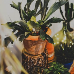 robe-de-mariée-lyon-caroline-Quesnel-défilé2015-(62)