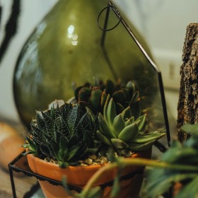 robe-de-mariée-lyon-caroline-Quesnel-défilé2015-(73)